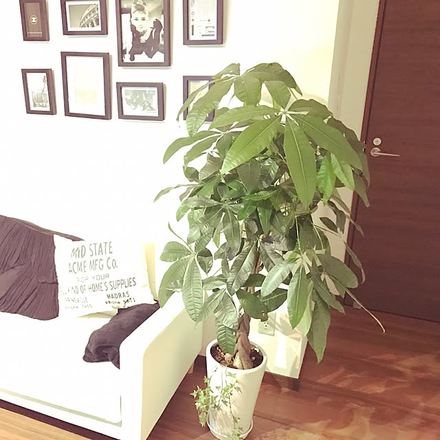 chie19329さんの実例写真