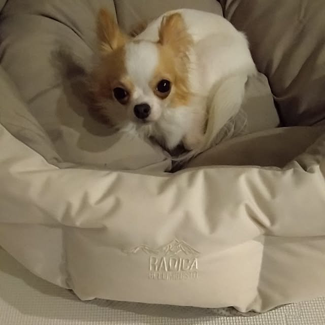 toratanさんの部屋