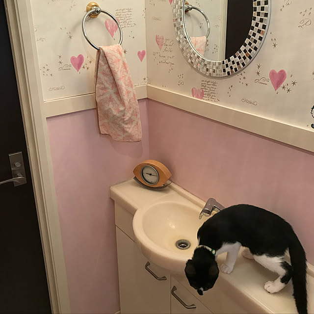 akuakuさんの実例写真