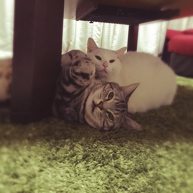 hiro_mashさんの実例写真