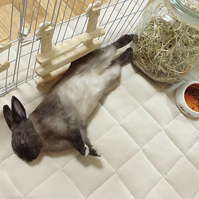 fumofumoさんの実例写真