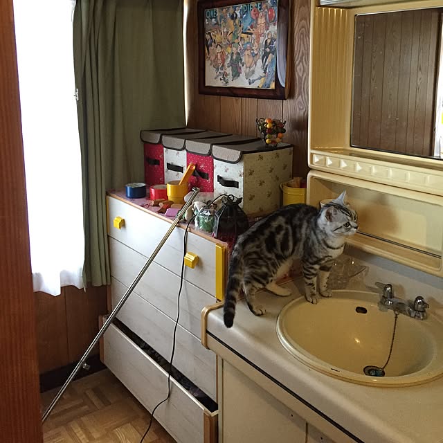 tanutanさんの実例写真