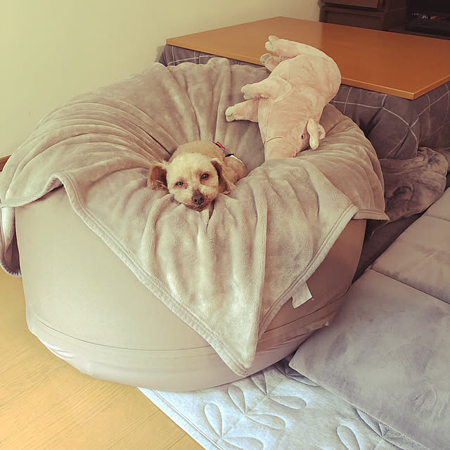 lrnkさんの実例写真