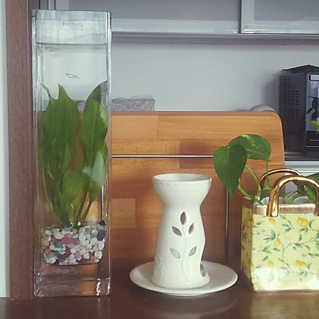 Yoshi55goさんの実例写真