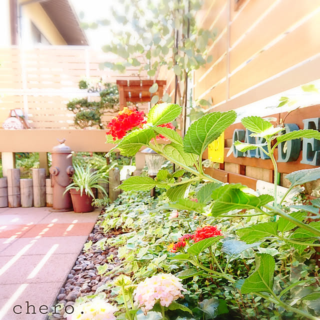 chero.さんの実例写真