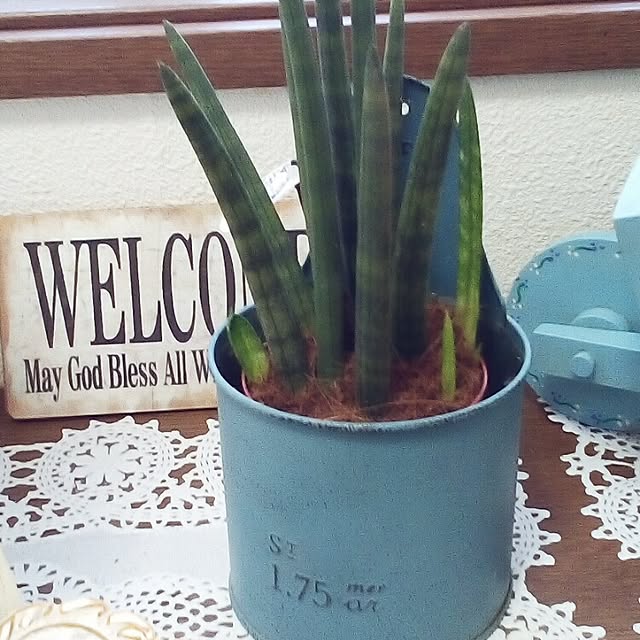 mariagardenさんの実例写真