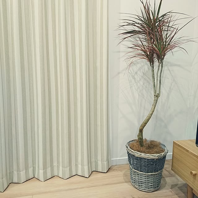 comiさんの実例写真