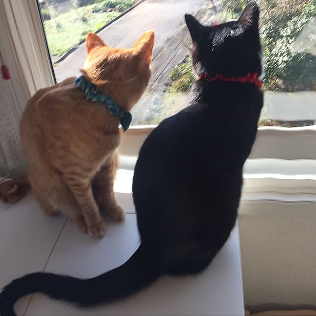 mtkさんの実例写真