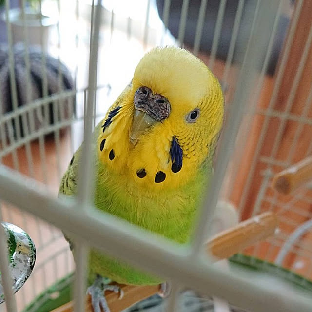 rienbo0510さんの実例写真