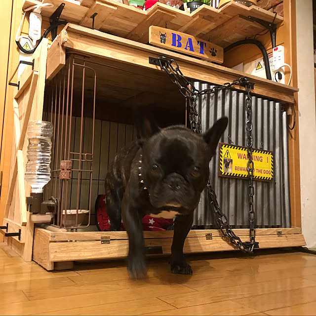 1000gaさんの実例写真