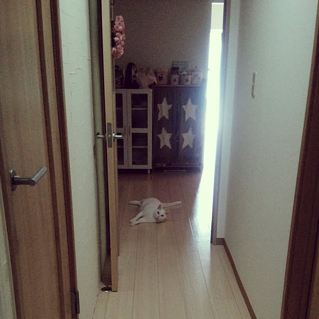 ta-koさんの実例写真