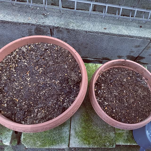 Shion+さんの実例写真