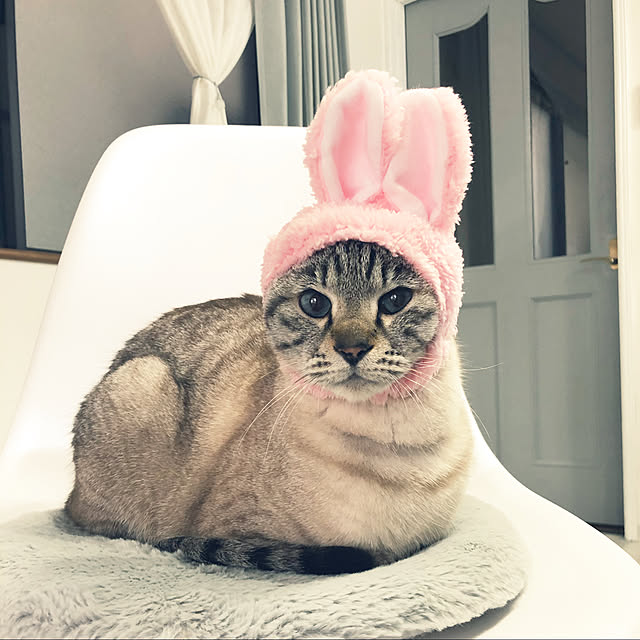 mieさんの実例写真