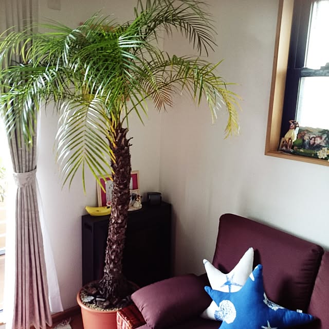 makicooさんの実例写真
