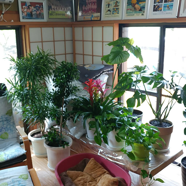 nontenrunさんの実例写真