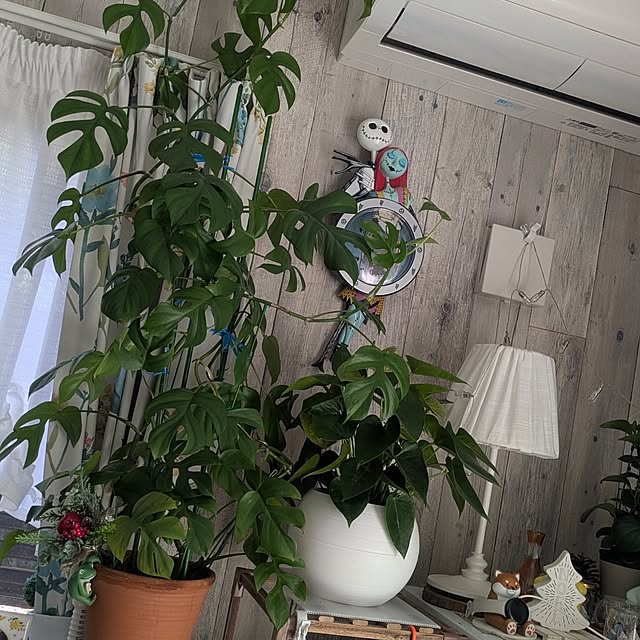 quanshanxia037さんの実例写真