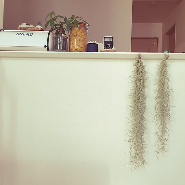 namnaoさんの実例写真