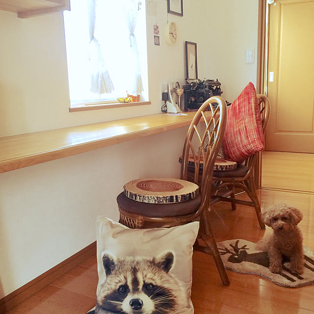 Momoさんの実例写真