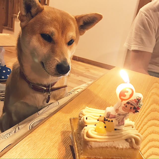 okadajapanさんの実例写真