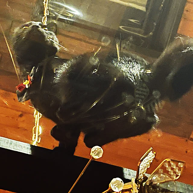 Narumiさんの部屋