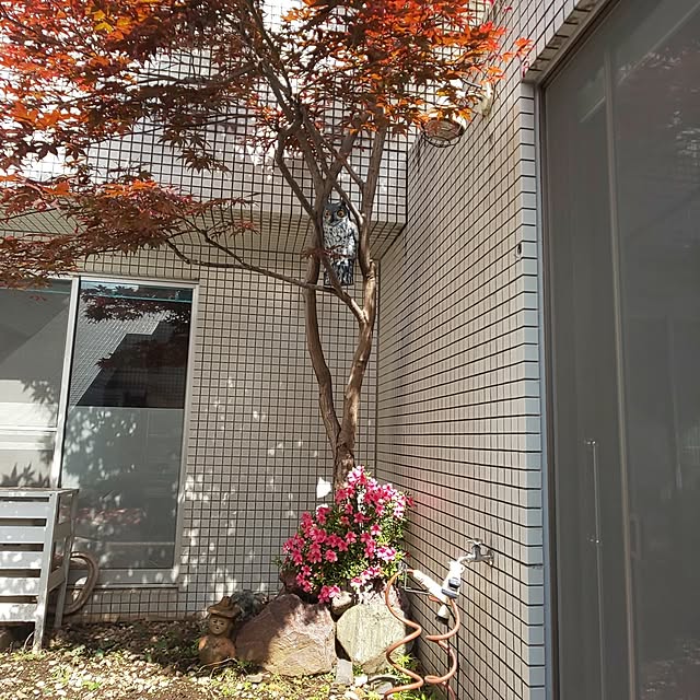 kumimmyさんの部屋