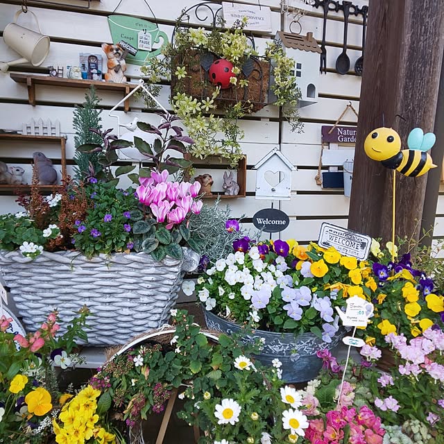 seiko44さんの部屋