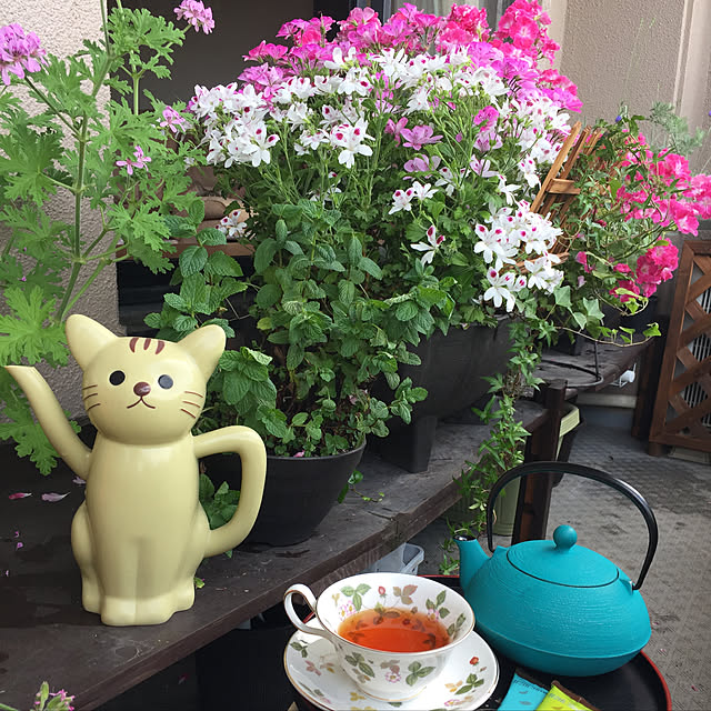 lapoさんの実例写真