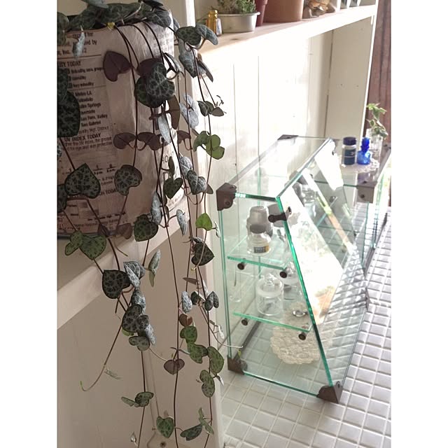 mooさんの実例写真