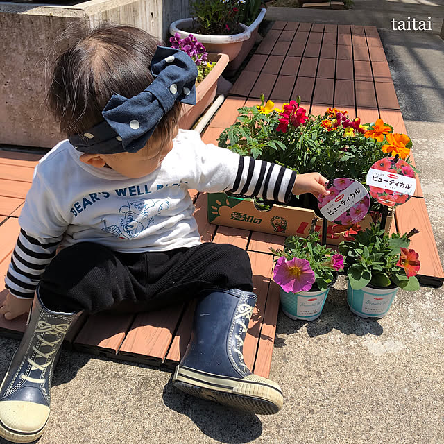 taitaiさんの実例写真