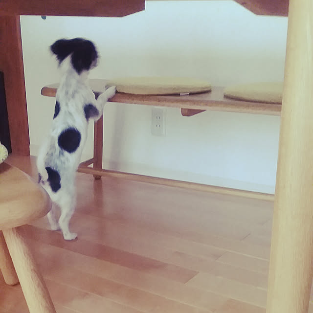 yukkoさんの実例写真