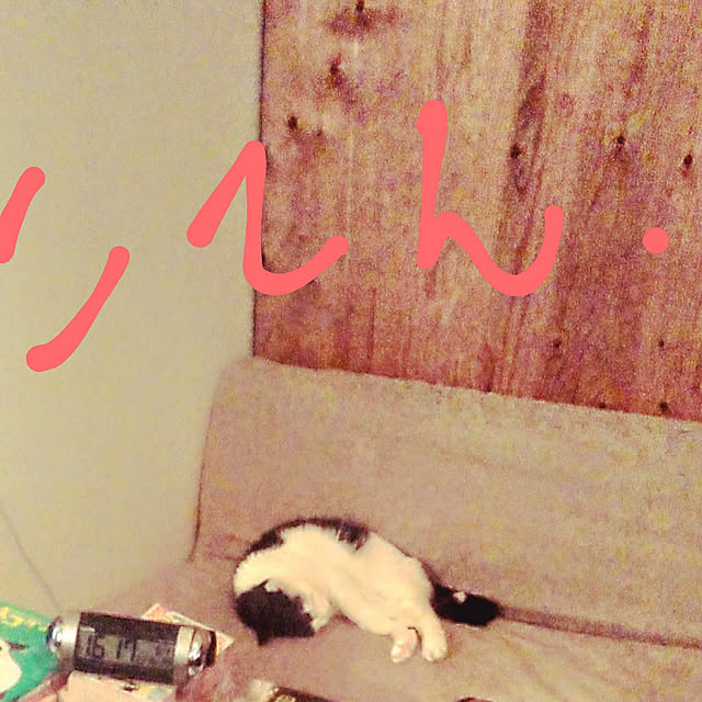 catloveさんの実例写真