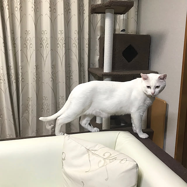 kana38さんの実例写真