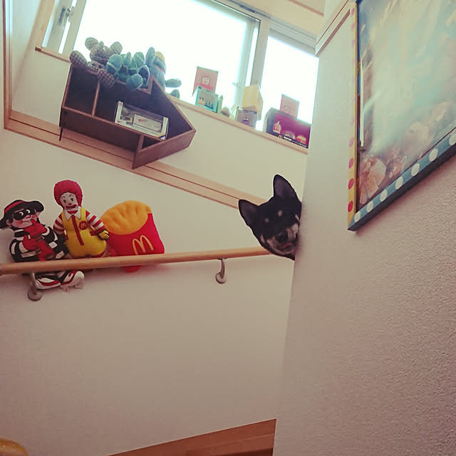 xxxakyxxxさんの実例写真