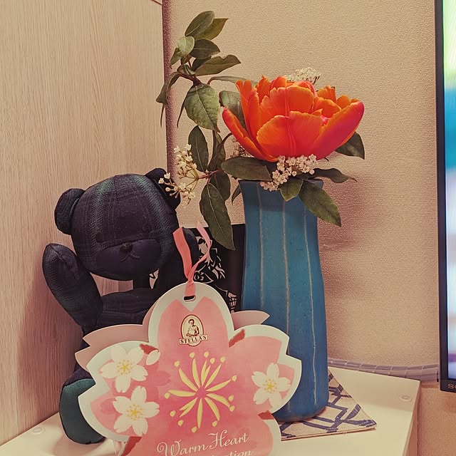 chiz3さんの実例写真