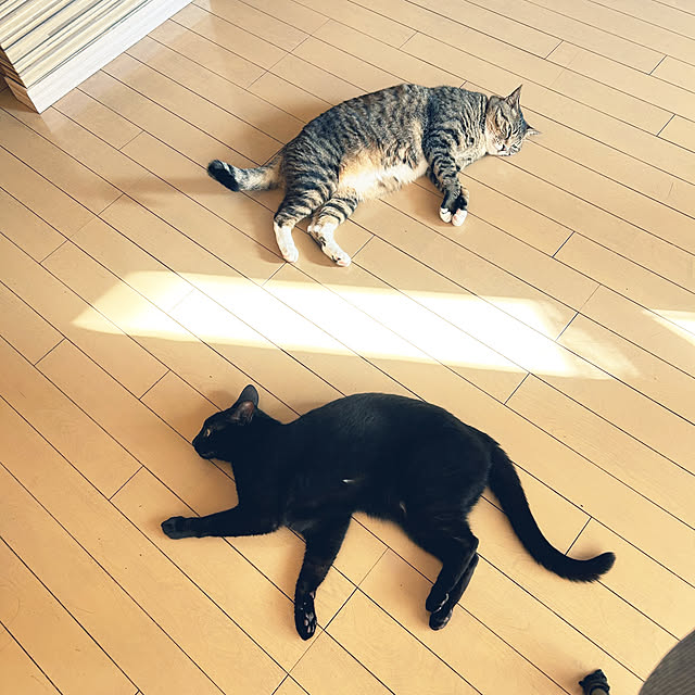 suemonta14さんの部屋