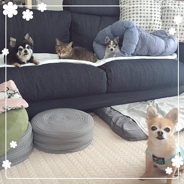 Emiさんの部屋
