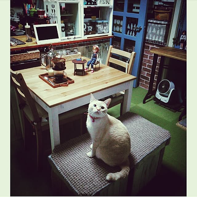mntcさんの実例写真