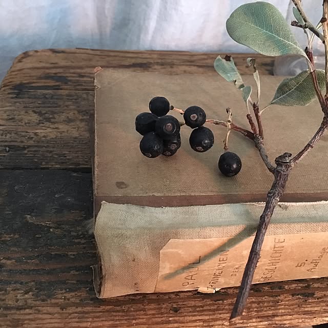 ot_aka1964さんの実例写真