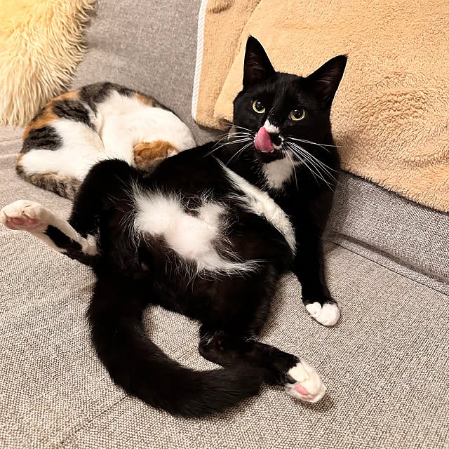 ochoriさんの部屋