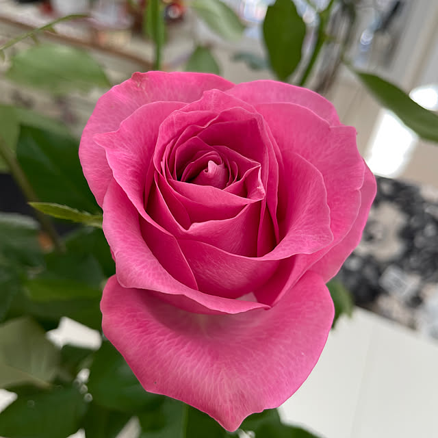 Andaluciaさんの部屋