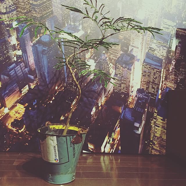 marikorocoroさんの実例写真