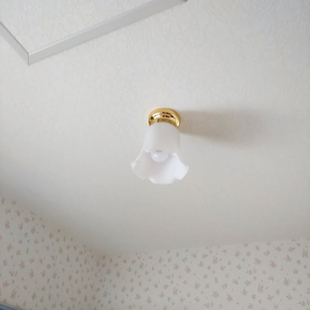 Hujikoさんの部屋