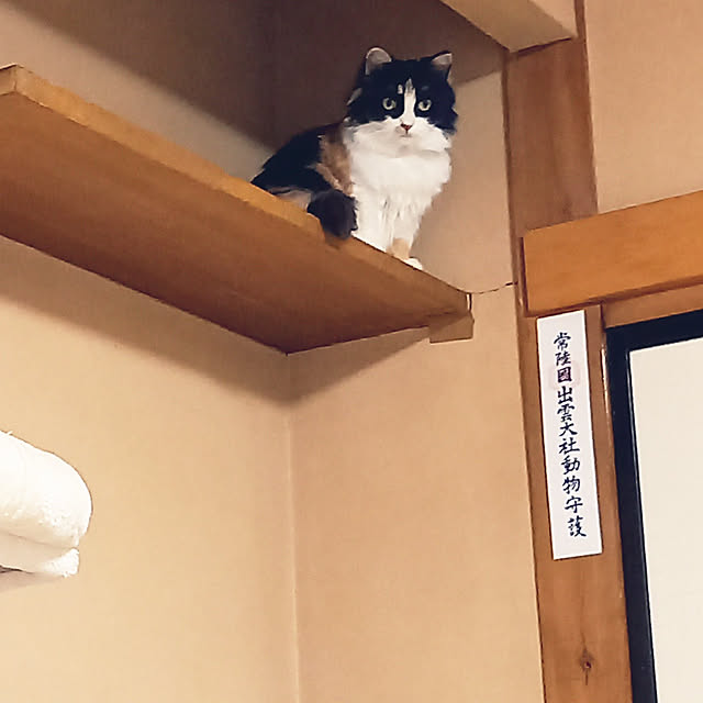 animaruloveさんの実例写真