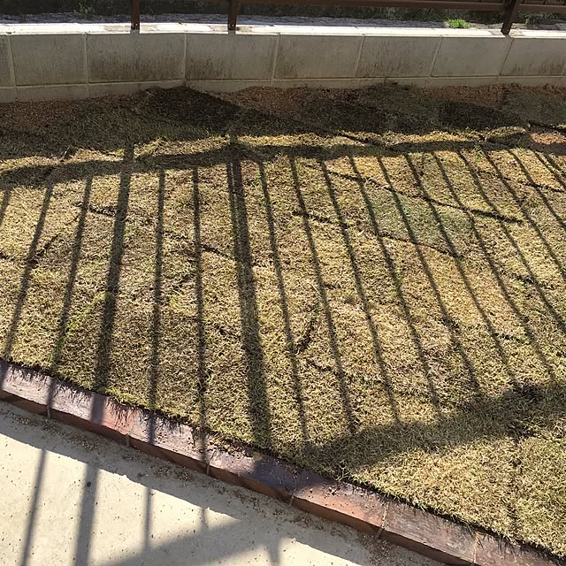 Michiさんの実例写真