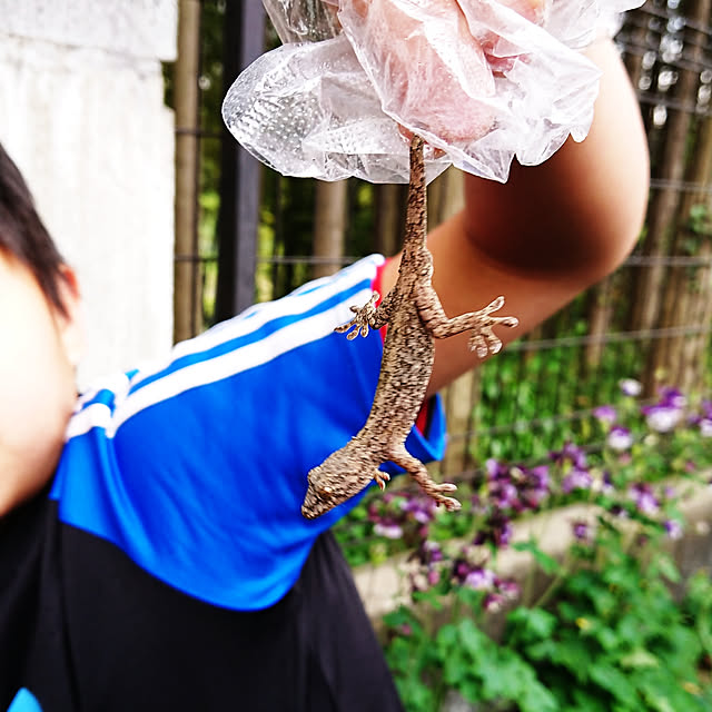 renrinmamaさんの実例写真