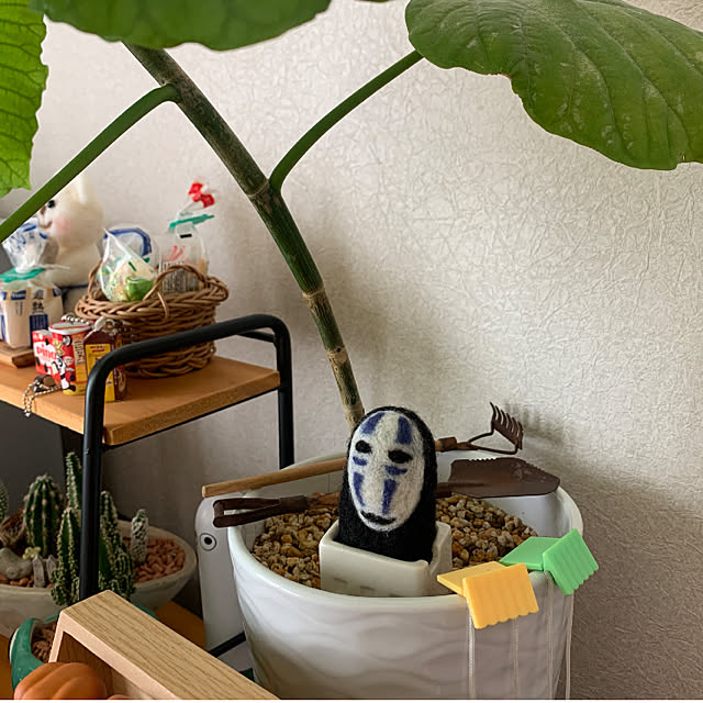 JUNさんの実例写真