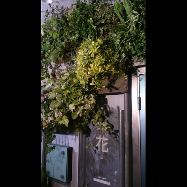 GreenWorksさんの実例写真