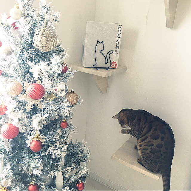 megu.catさんの実例写真