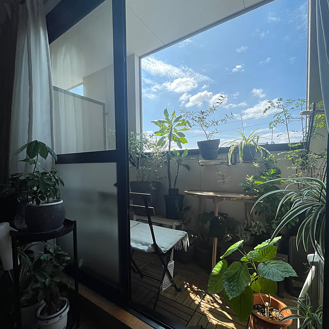 akoさんの実例写真