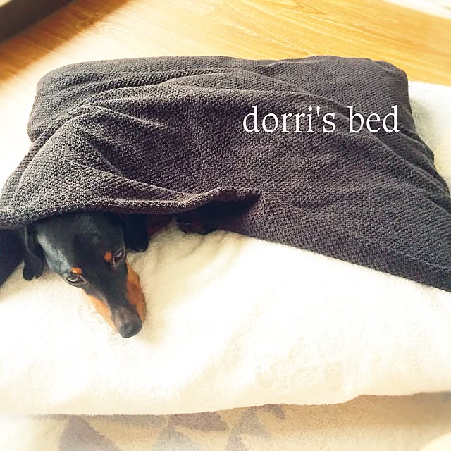 bonamiさんの実例写真